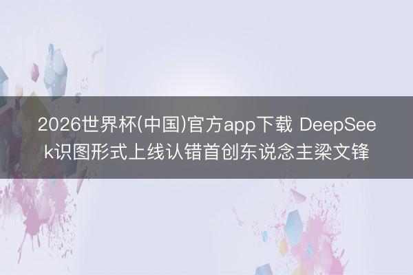 2026世界杯(中国)官方app下载 DeepSeek识图形式上线认错首创东说念主梁文锋